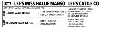 LOT 007 - LEE’S MISS HALLIE MANSO