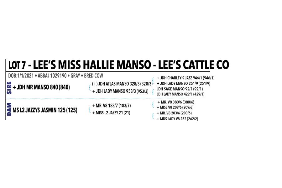 LOT 007 - LEE’S MISS HALLIE MANSO