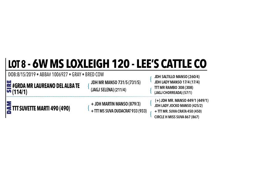 LOT 008 - 6W MS LOXLEIGH 120