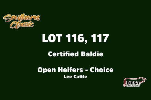 LOT 116, 117 - LEE CATTLE - CHOICE OR X THE MONEY OF LOTS CHOSEN (A)