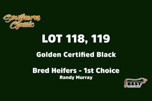 LOT 118-119 - RANDY MURRAY - FIRST CHOICE OR X THE MONEY OF LOTS CHOSEN