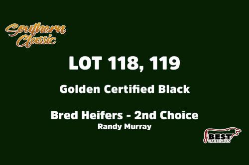 LOT 118-119 - RANDY MURRAY - SECOND CHOICE OR X THE MONEY OF LOTS CHOSEN