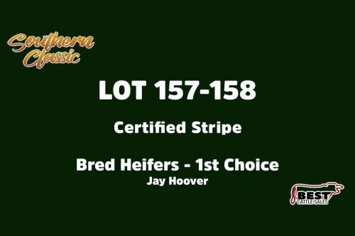 LOT 157-158 - JAY HOOVER - FIRST CHOICE OR X THE MONEY OF LOTS CHOSEN