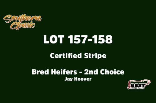 LOT 157-158 - JAY HOOVER - SECOND CHOICE OR X THE MONEY OF LOTS CHOSEN
