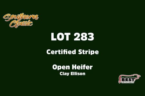 LOT 283 - CLAY ELLISON - OPEN HEIFER