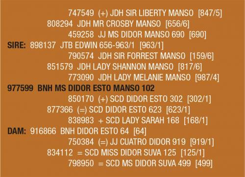LOT 051 - BNH MS DIDOR ESTO MANSO 102