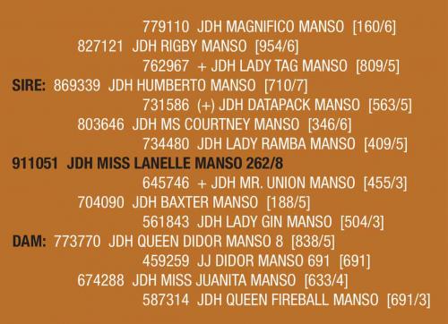 LOT 061 AND LOT 061A - JDH MISS LANELLE MANSO 262/8