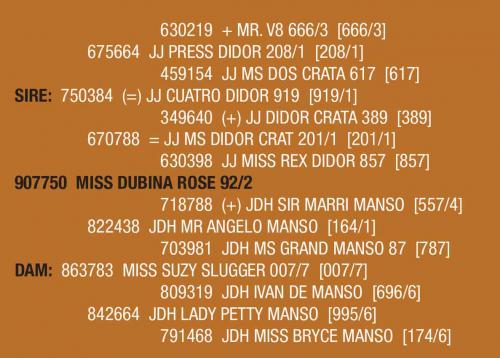 LOT 063 AND LOT 63A- MISS DUBINA ROSE 92/2