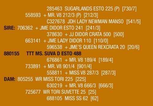 LOT 079 AND LOT 079A - TTT MS. SUVA D ESTO 488