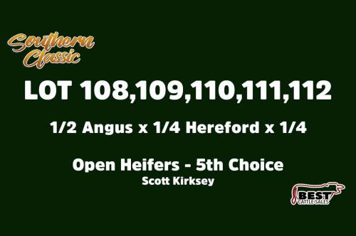LOT 114 to 118 - FIFTH CHOICE OR X THE MONEY OF LOTS CHOSEN