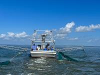 LOT 10 - Shrimping Trip in Vermilion Bay for 4 people