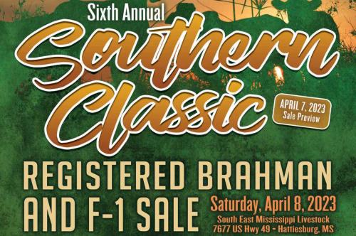 6TH SOUTHERN CLASSIC REGISTERED BRAHMAN AND F1 SALE