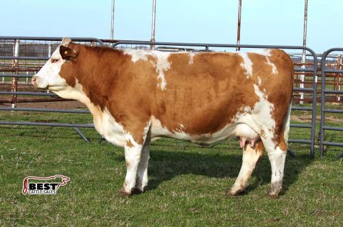 LOT 16 - RTOP MS MELODY 1130G - FLUSH