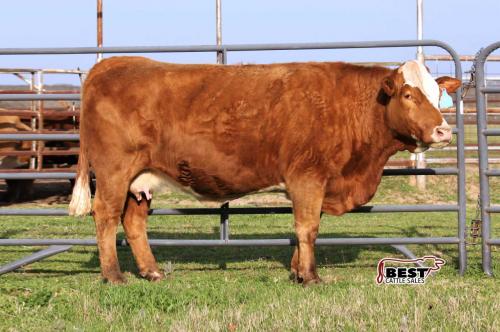 LOT 17 - T5 RIVER CREEK BABS - FLUSH