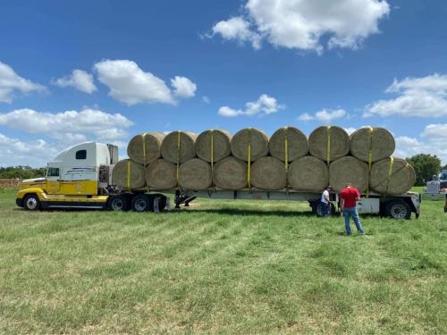 LOT 32 - 30 ROUND BALES OF HAY