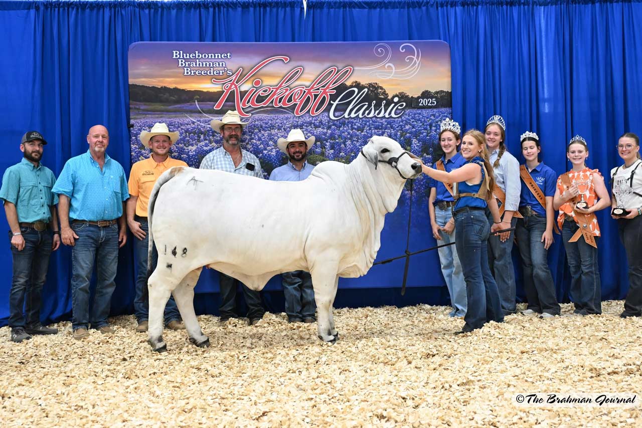AT-MISS-REBA-168-4.jpg
