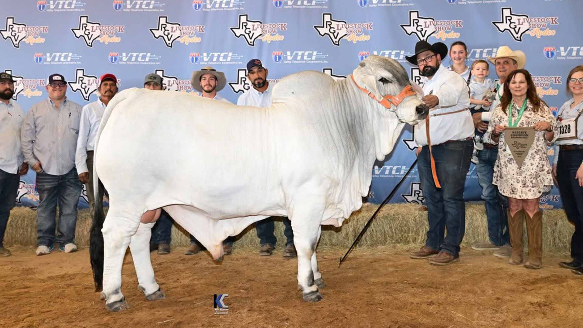 Brahman-Foundation-Lot-18-support1.jpg