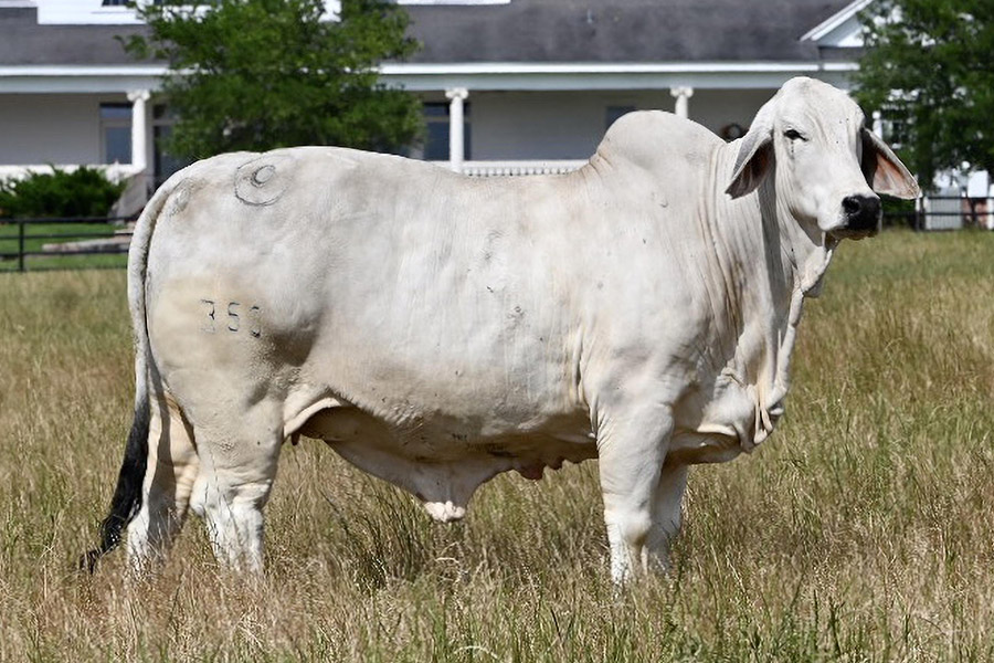 BullsEyeRanch-donor-Miss-BER-350.jpg
