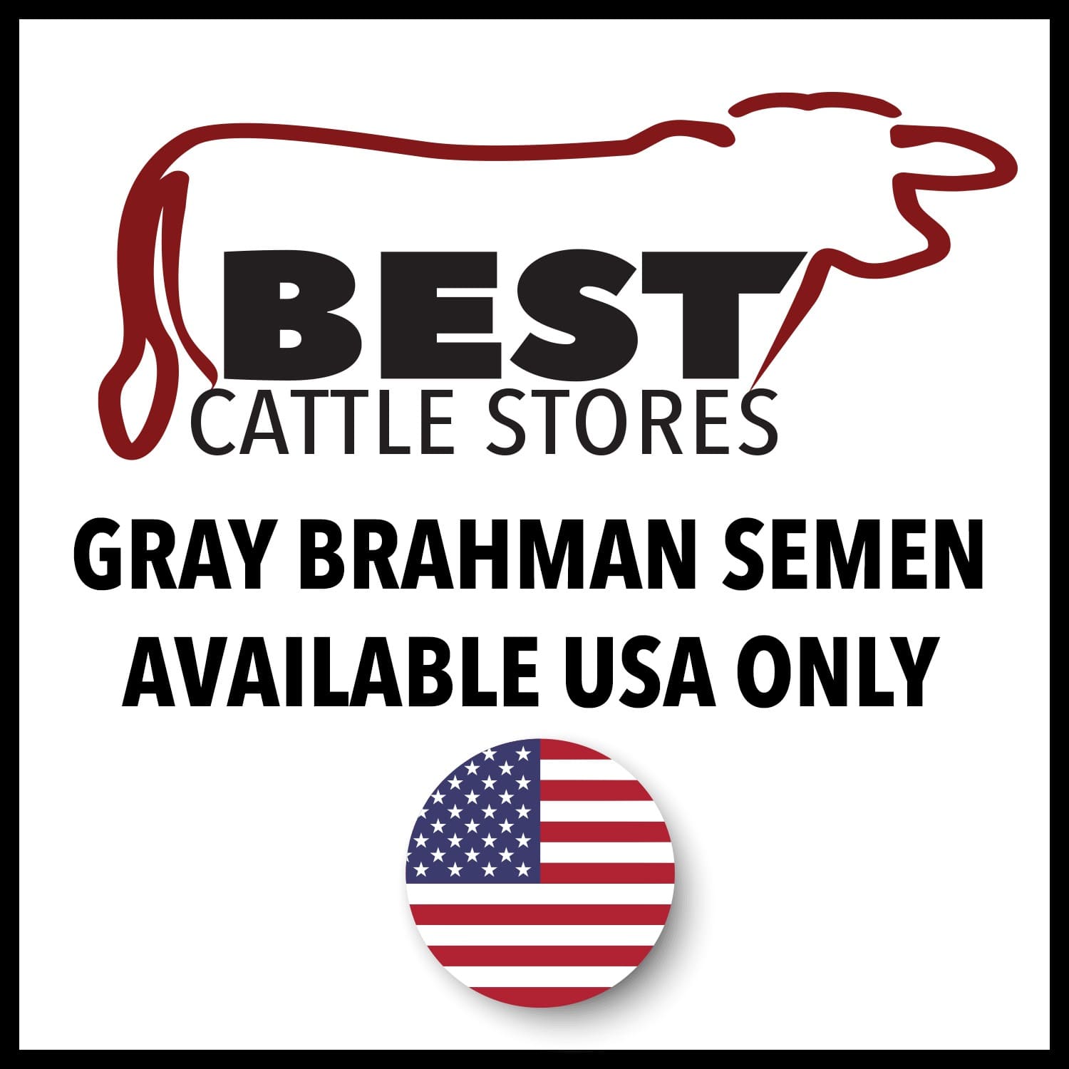 GRAY BRAHMAN SEMEN AVAILABLE ONLY IN THE USA