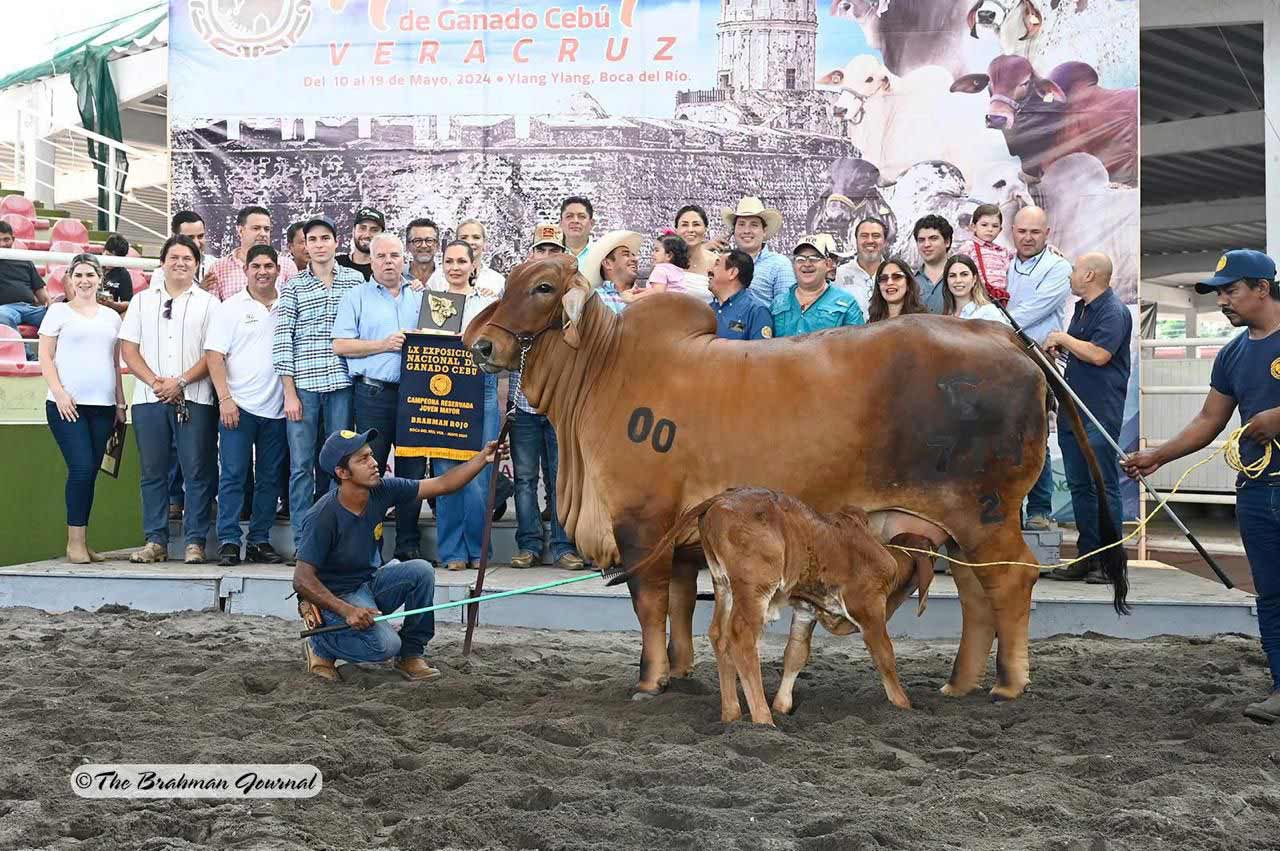 LRSFH-MISS-EL-DORADO-KATY-I-468-9-2.jpg