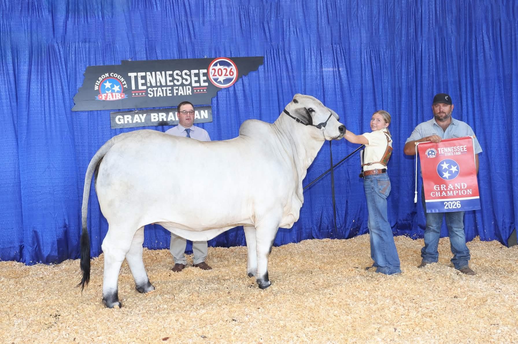 Mr-US-Polled-Didor-661-7-progeny-e1789753829860.jpg