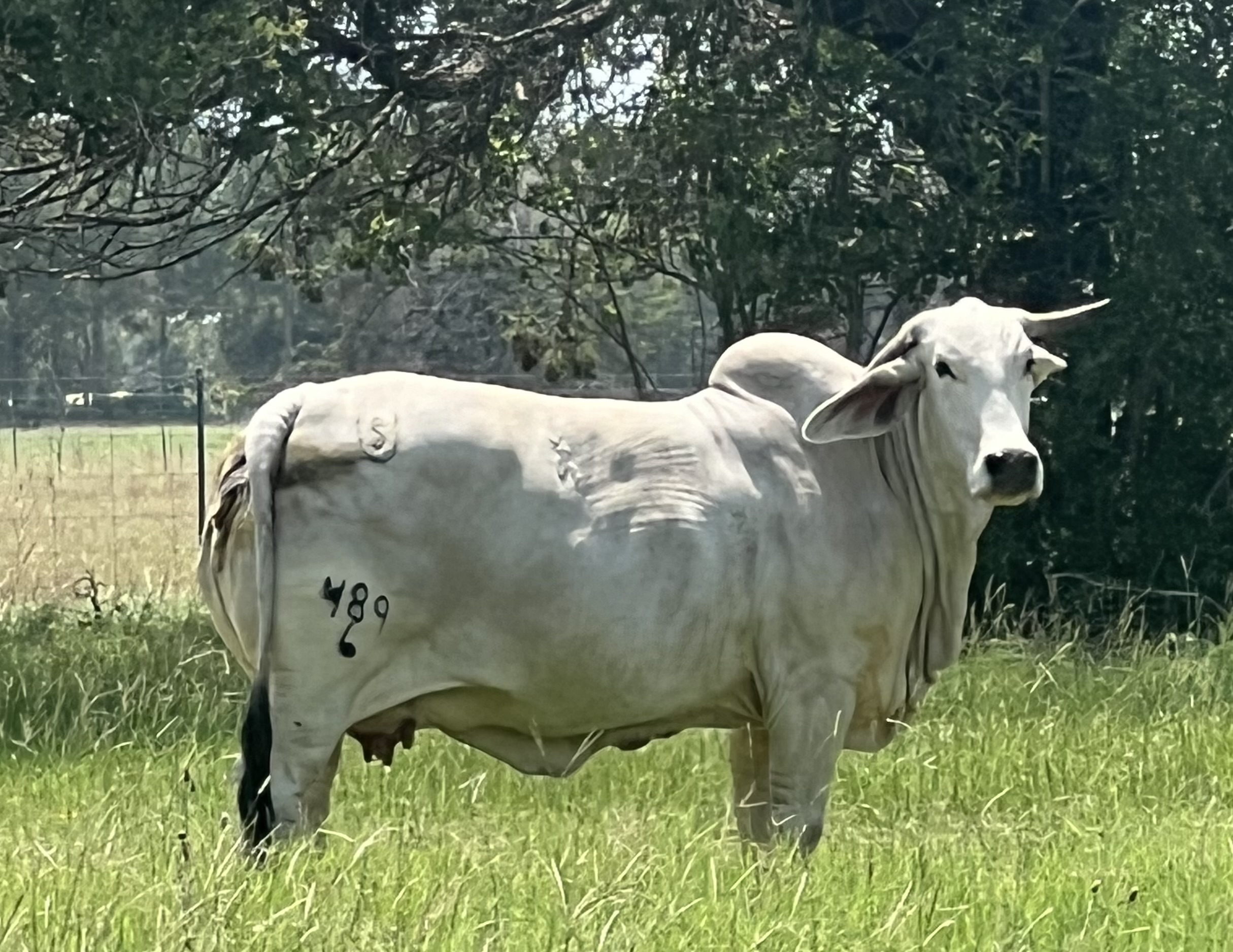 Ms-US-Sugarland-Polled-489-6.jpeg