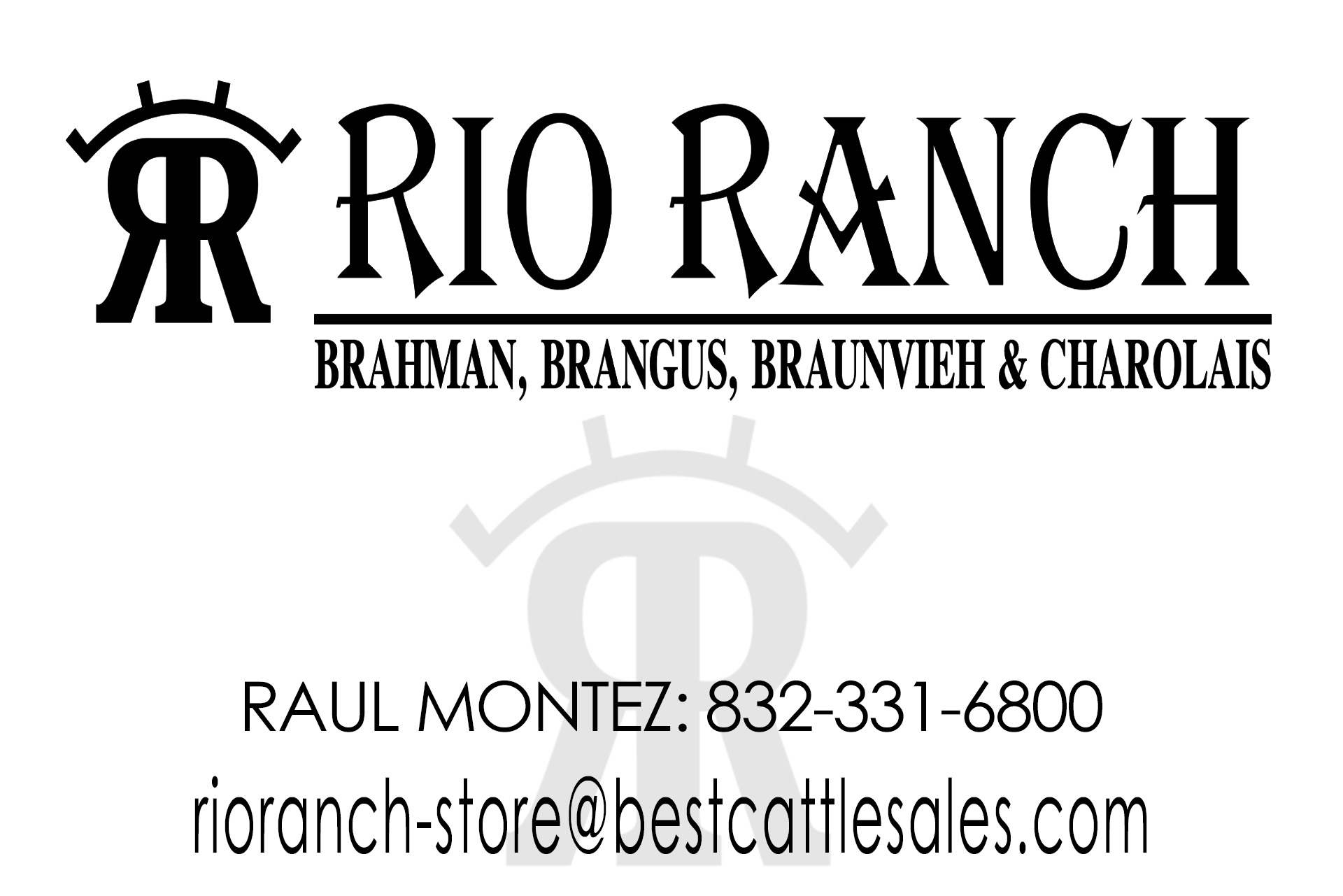 RIO RANCH ON BEST CATTLE STORE
